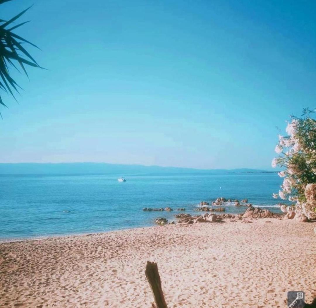 Magnifique T2 Vue Sanguinaires Apartment Ajaccio (Corsica)