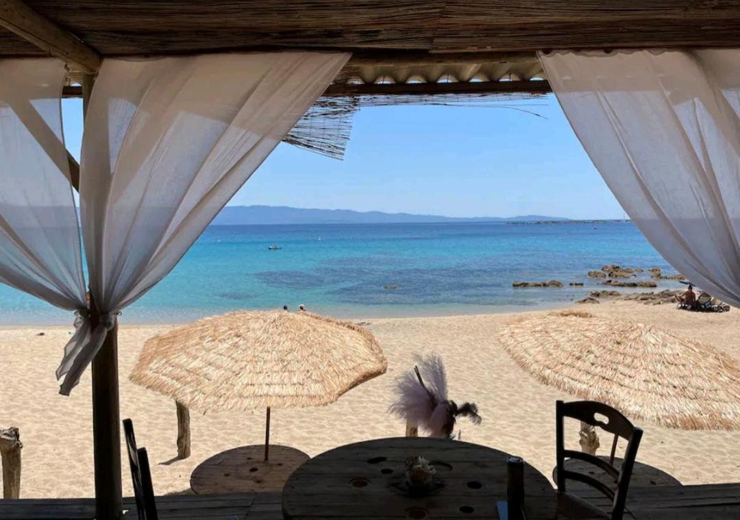 Magnifique T2 Vue Sanguinaires Appartement *